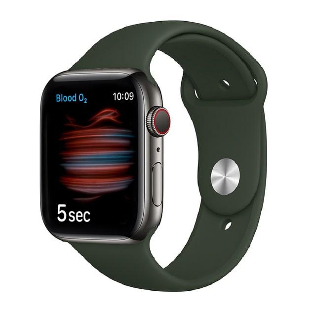 Apple Watch Series 6 40mm LTE Stainless Steel Case with Sport Band