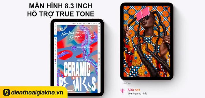 m&agrave;n h&igrave;nh true tone tr&ecirc;n iPad Mini 6 8.3 inch Wifi 256GB 2021