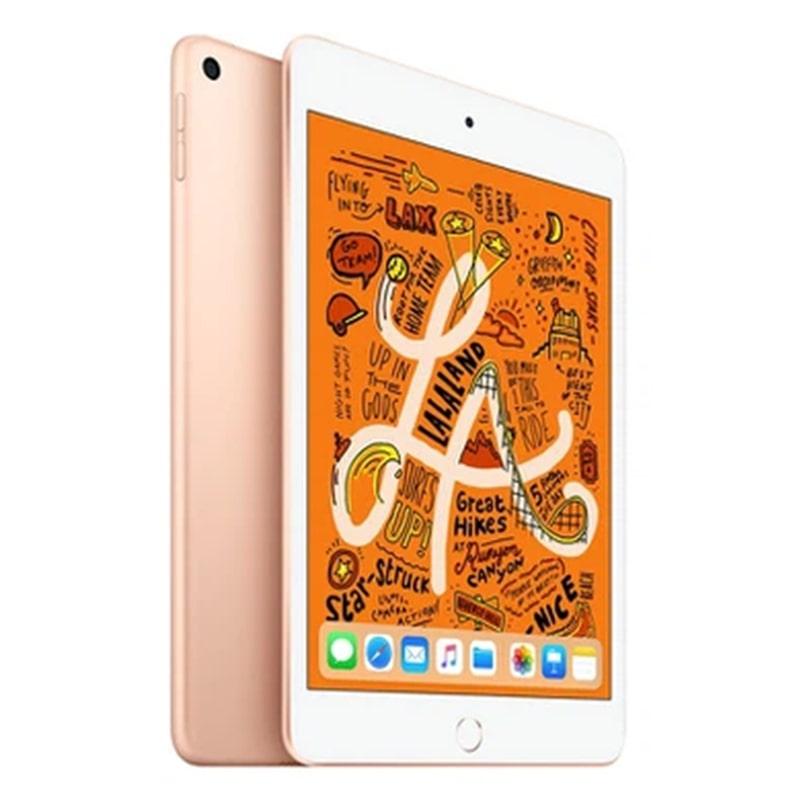 iPad Mini 5 7.9 inch 2019 Wifi 64GB Cũ