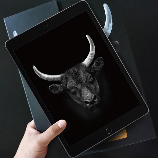 Kính cường lực iPAD MIPOW Kingbull Premium HD