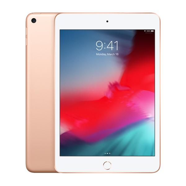 iPad Mini 5 7.9 inch 2019 Wifi 64GB Cũ