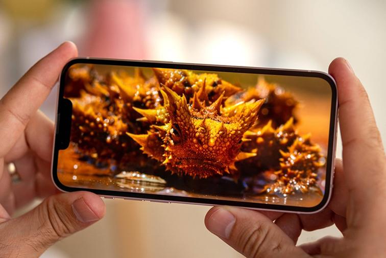 m&agrave;n h&igrave;nh iphone 13 cũ