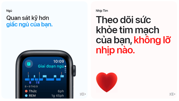 Theo d&otilde;i nhịp tim