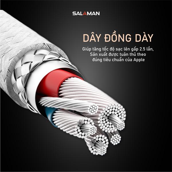 Cáp Sạc Nhanh Salaman Powerlink 60W C to C PD Chính Hãng