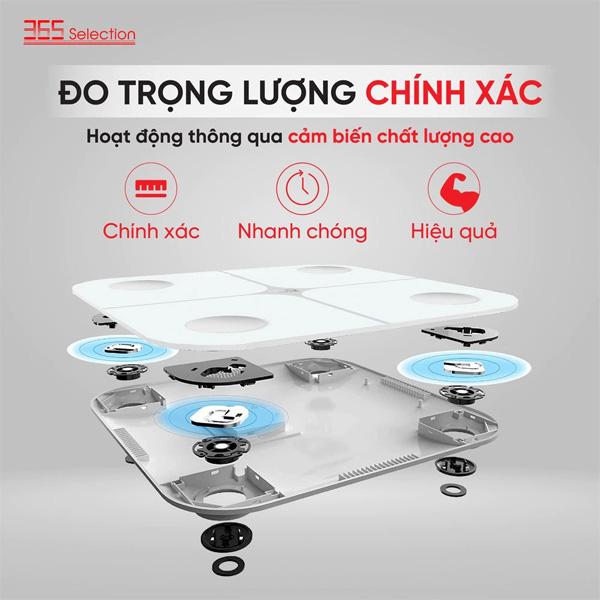 Cân điện tử thông minh 365 Selection WS1 Chính Hãng