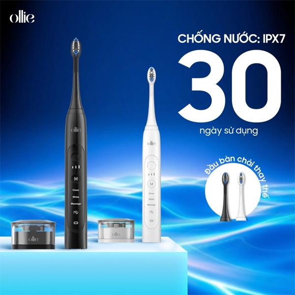 Đầu Bàn Chải Đánh Răng Điện OLLIE BH-SG-01-B Chính Hãng