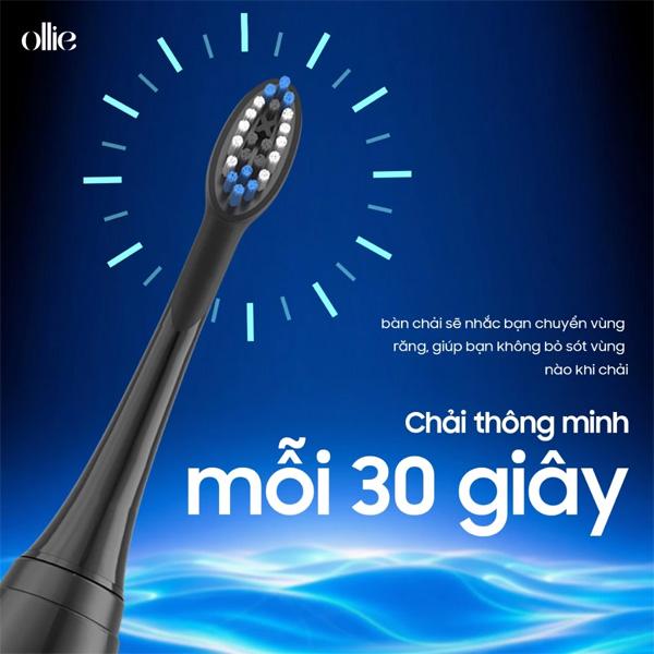 Đầu Bàn Chải Đánh Răng Điện OLLIE BH-SG-01-B Chính Hãng