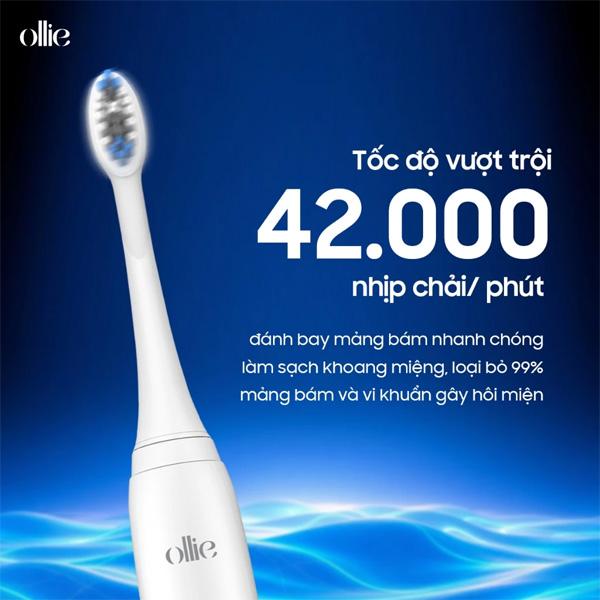 Đầu Bàn Chải Đánh Răng Điện OLLIE BH-SG-01-B Chính Hãng