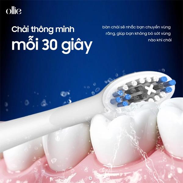 Đầu Bàn Chải Đánh Răng Điện OLLIE BH-SG-01-B Chính Hãng
