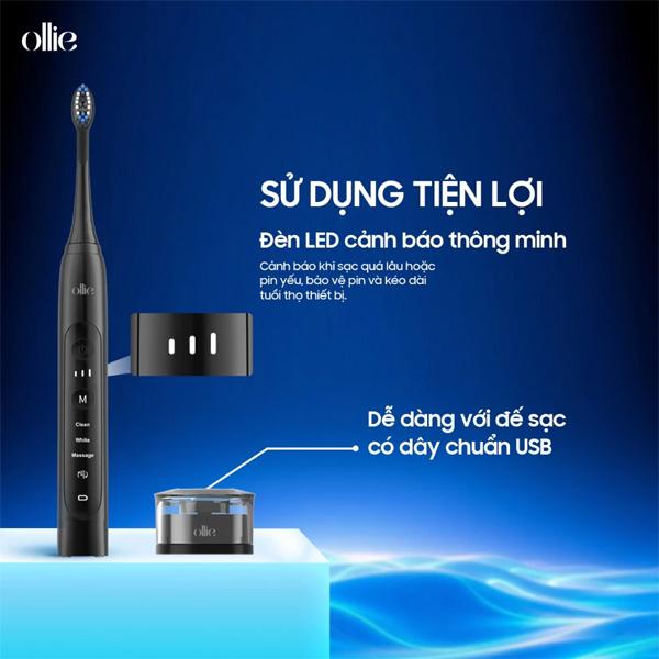 Đầu Bàn Chải Đánh Răng Điện OLLIE BH-SG-01-B Chính Hãng