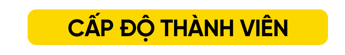 CẤP ĐỘ THÀNH VIÊN