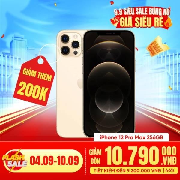 iPhone 12 Pro Max 256GB Cũ 99%