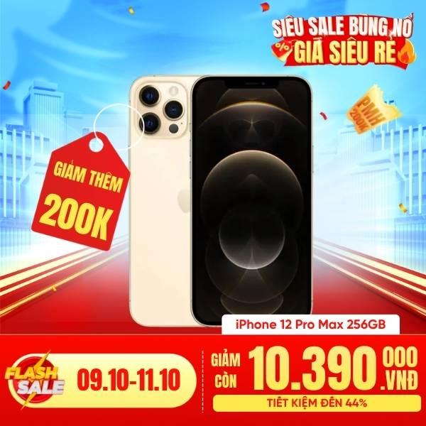 iPhone 12 Pro Max 256GB Cũ 99%