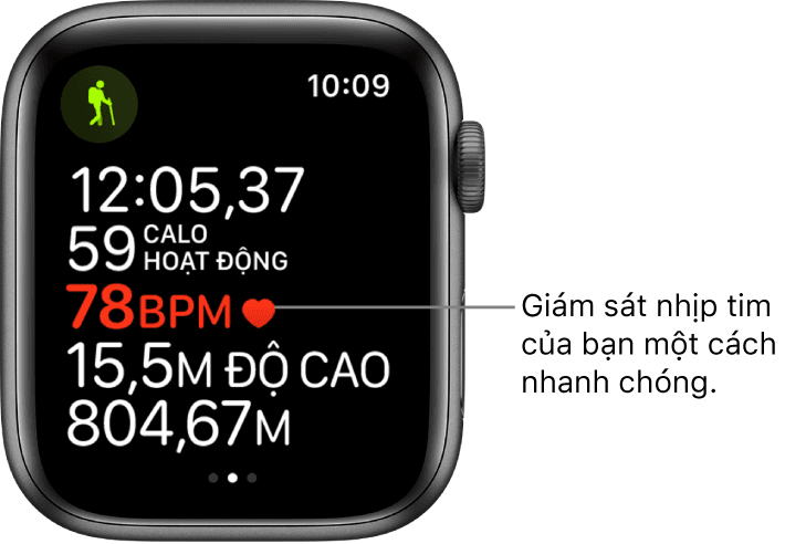 Apple Watch SE 44mm LTE Viền Nhôm Cũ 99%