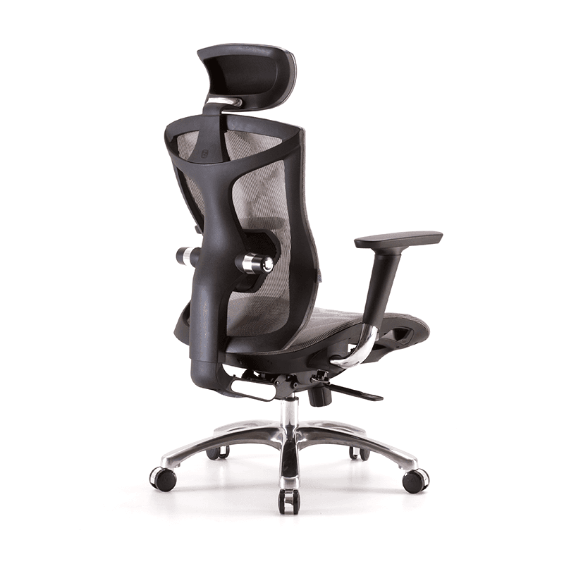 Ghế Văn Phòng Cao Cấp Ergonomic ERC-01